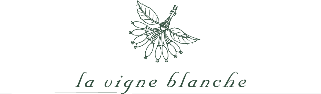domaine de la vigne blanche - genève - mousseux