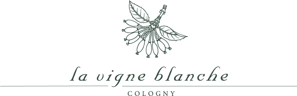 domaine de la vigne blanche - genève - mousseux