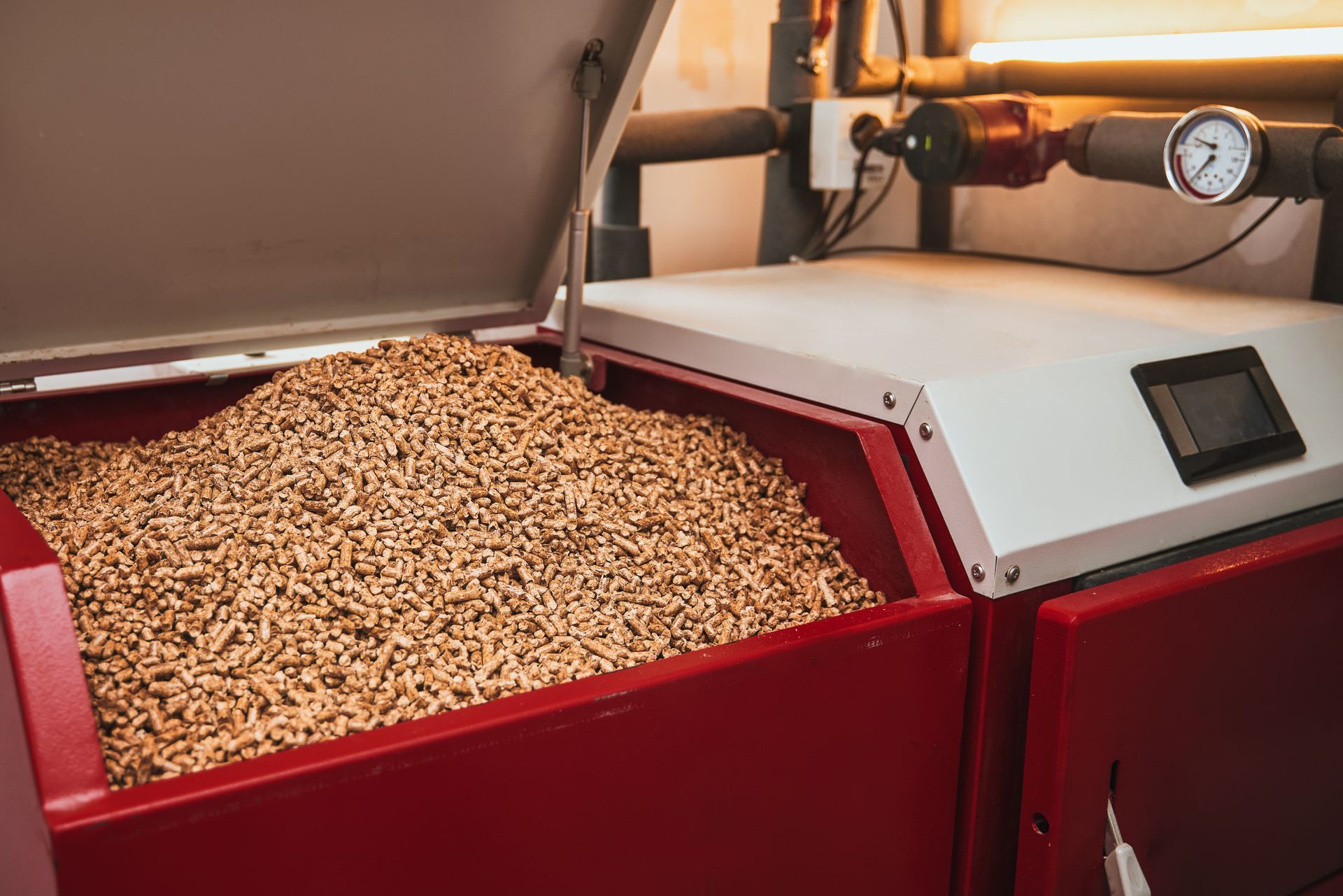 Trémie à grains rouge ouverte remplie de grains torréfiés à l'intérieur d'une machine à torréfier.