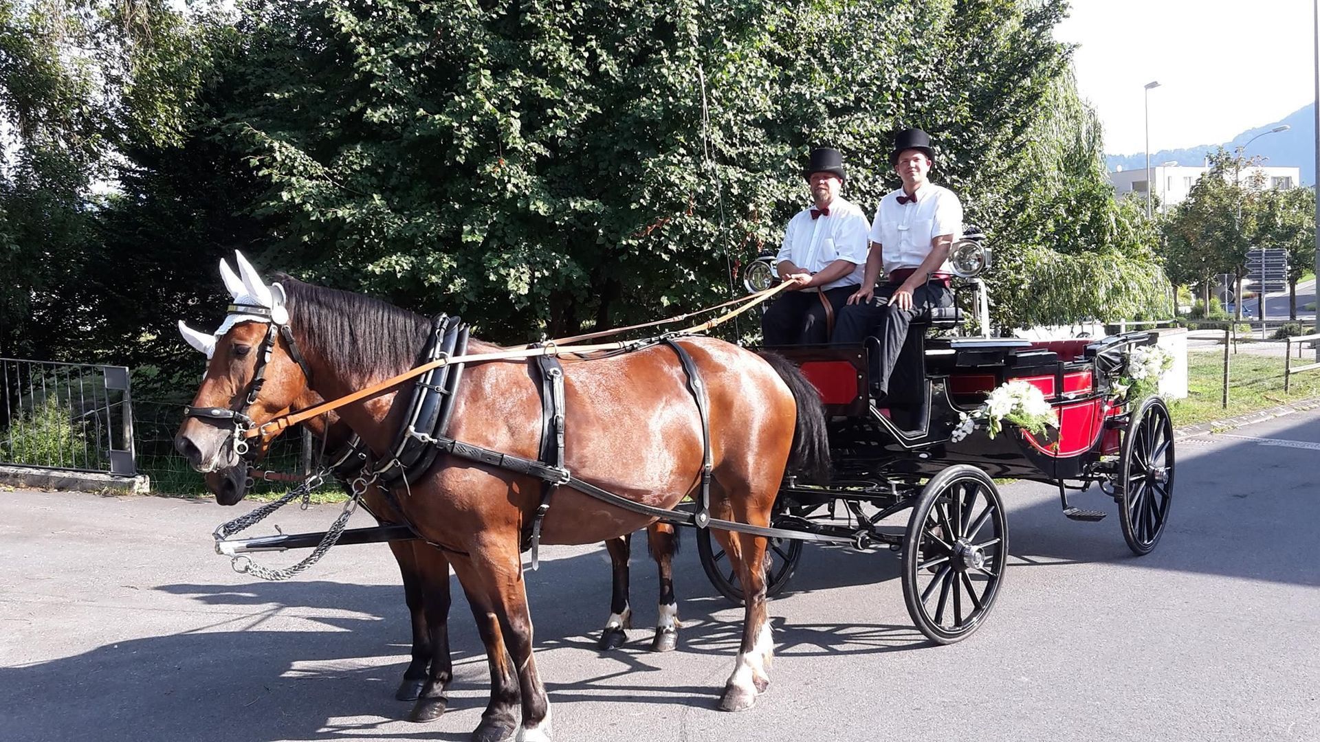 Landauer - Kutschenerlebnis.ch Weggis