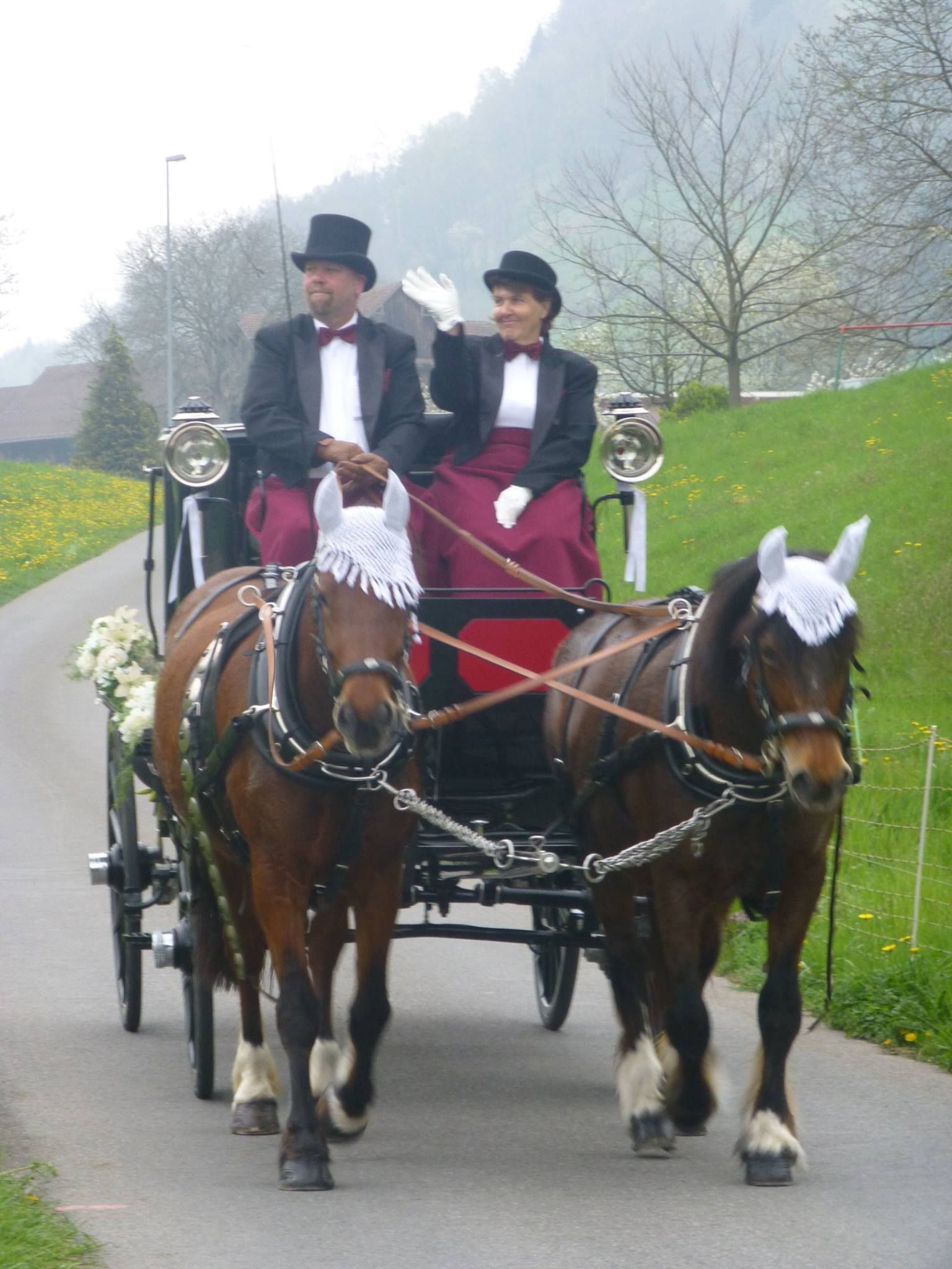 Landauer - Kutschenerlebnis.ch Weggis