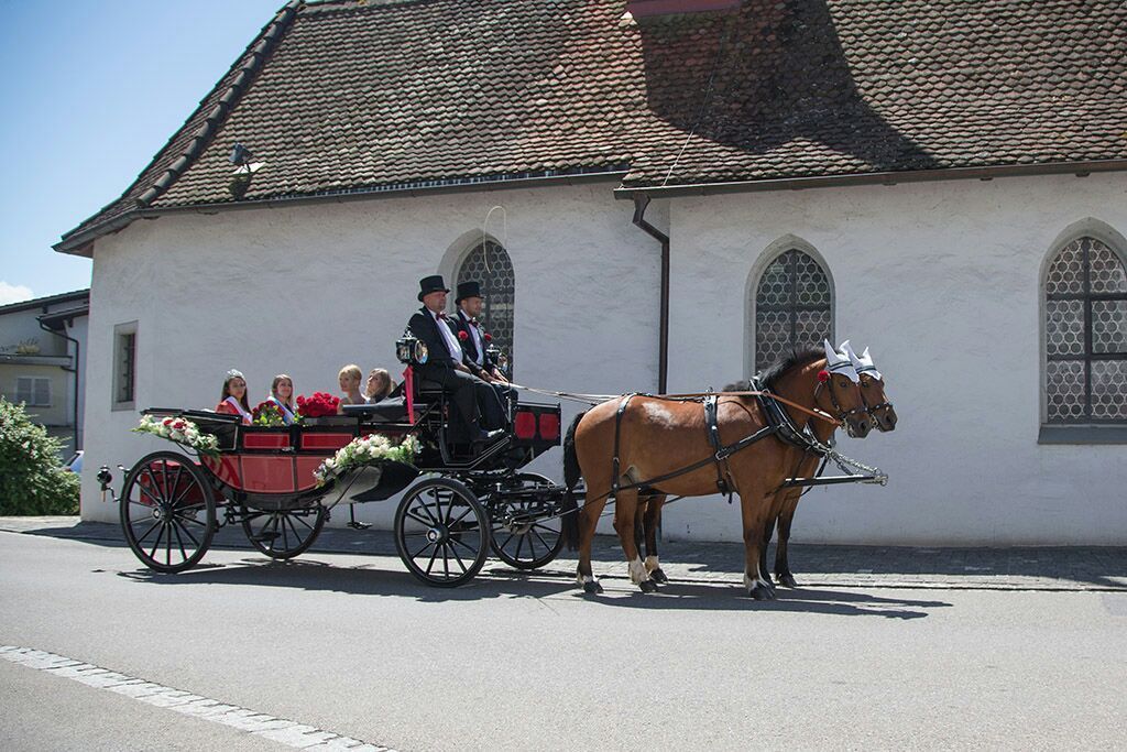 Landauer - Kutschenerlebnis.ch Weggis
