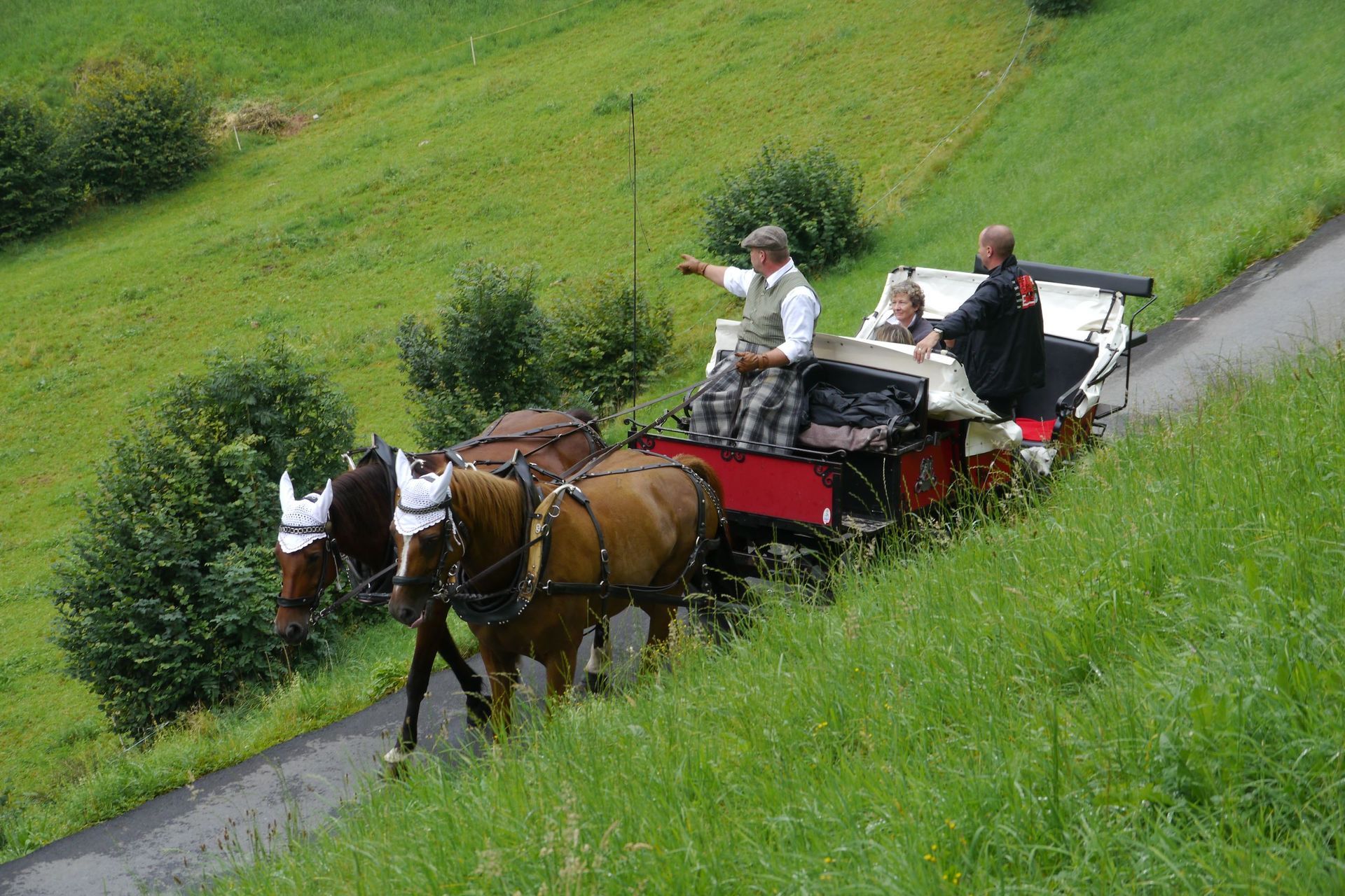 Gesellschaftskutsche - Kutschenerlebnis.ch Weggis