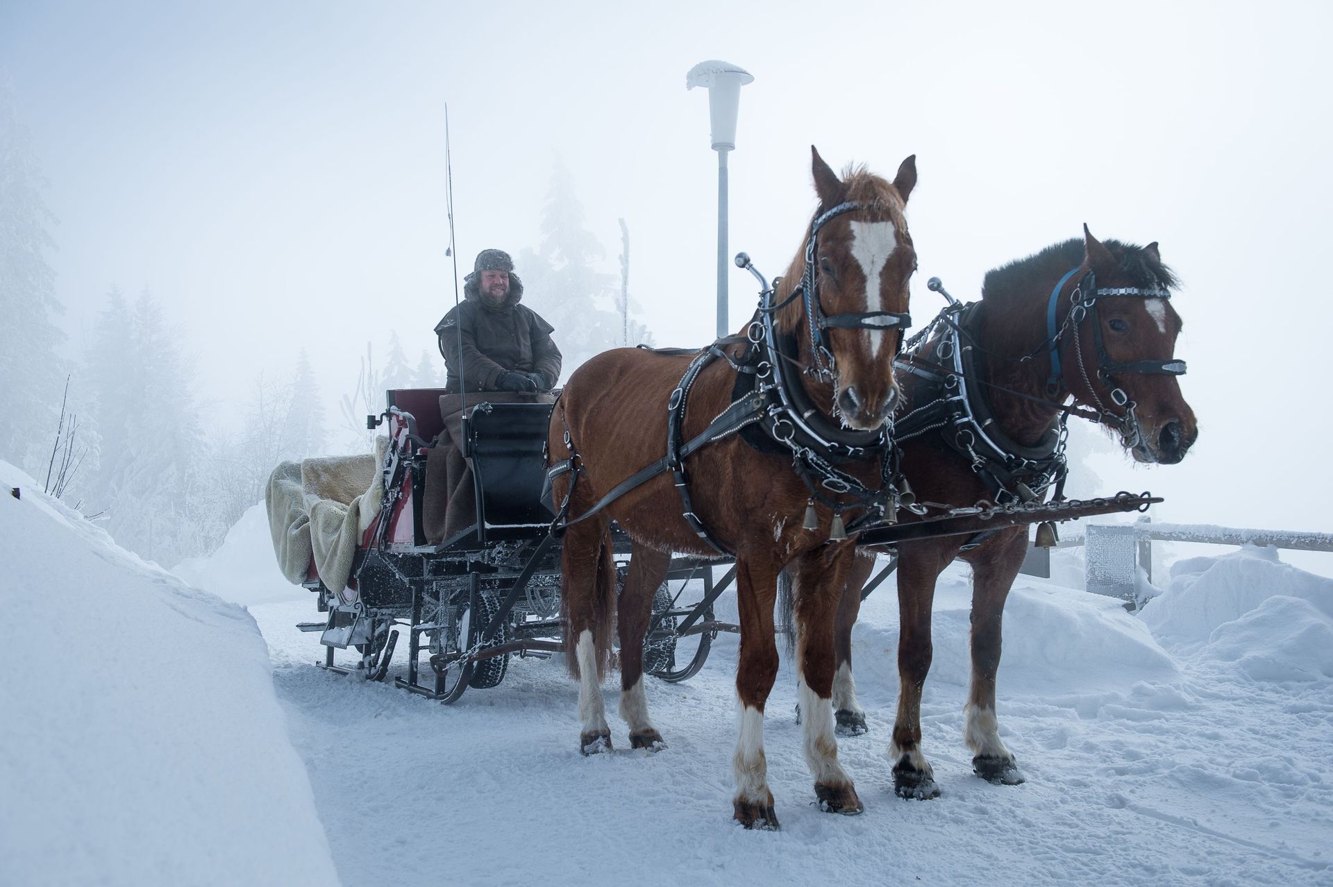 Schlittenfahrten auf der Rigi - Kutschenerlebnis.ch Weggis