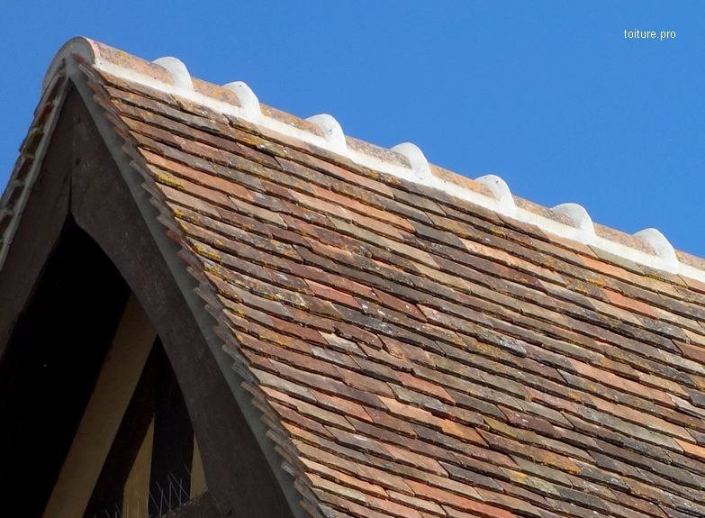 Une toiture et ses zingueries