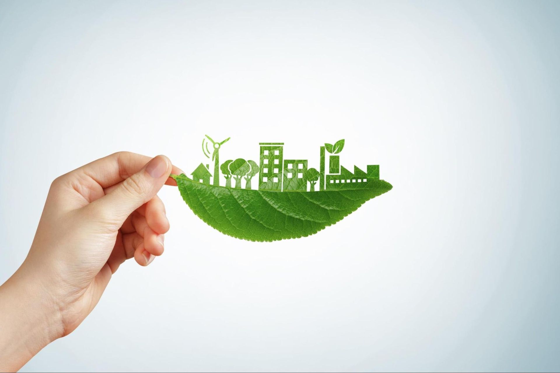 Sustainable Travel
