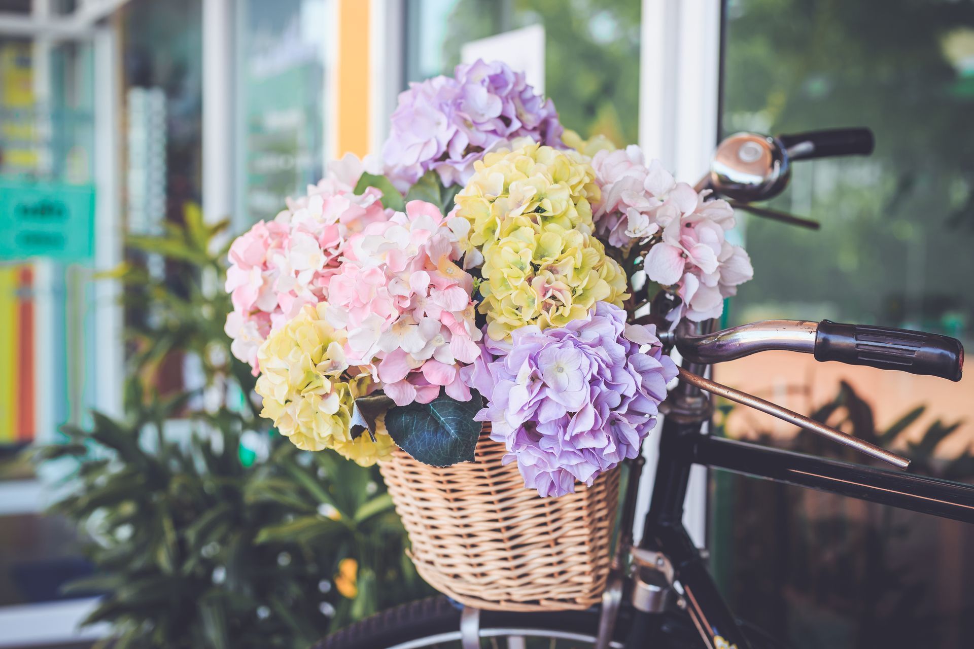 Panier d'hortensias pastel sur un guidon de vélo, avec un arrière-plan de rue flou.