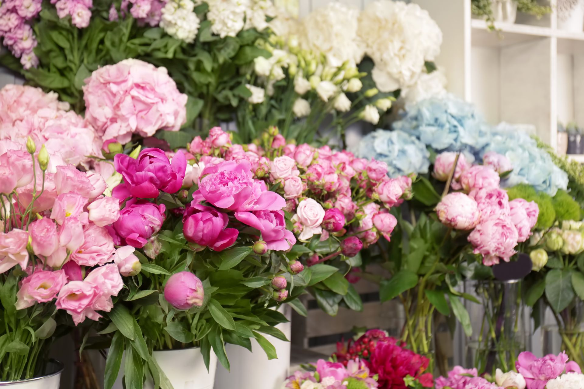 Des bouquets colorés de fleurs roses, blanches et bleues disposés sur des étagères d'exposition.