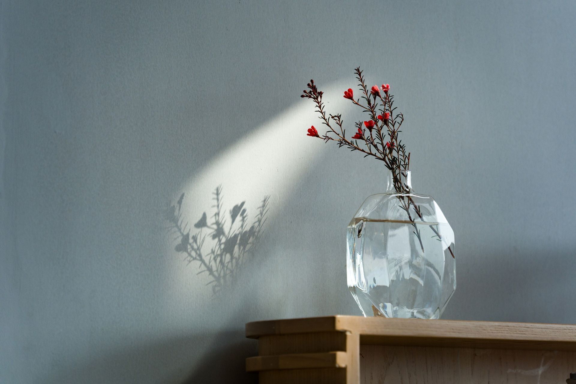 Vase en verre rempli de baies rouges posé sur une étagère en bois, projetant son ombre sur un mur gris.