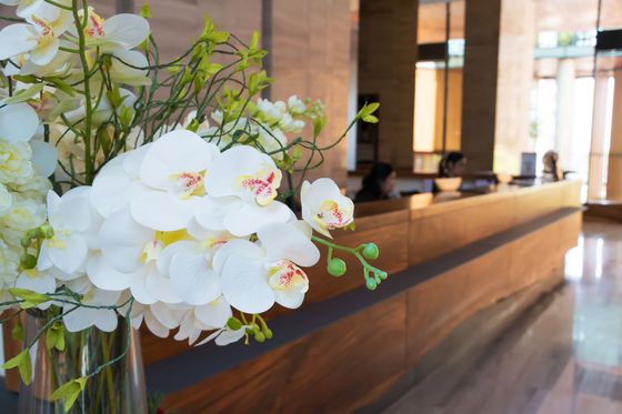 Orchidées blanches dans un vase près de la réception d'un hôtel moderne
