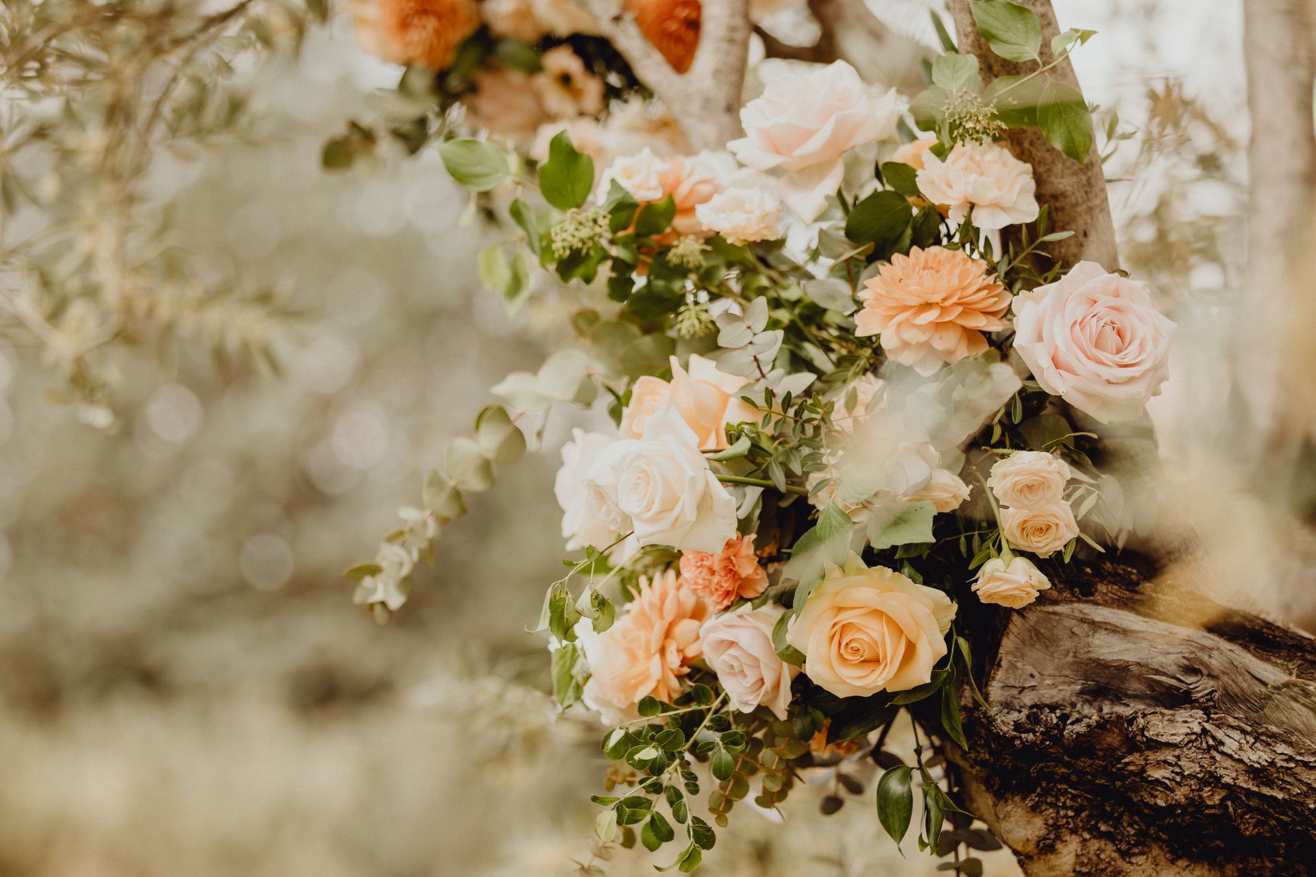 Composition florale de roses blanches et pêche drapée sur une branche d'arbre à l'extérieur.