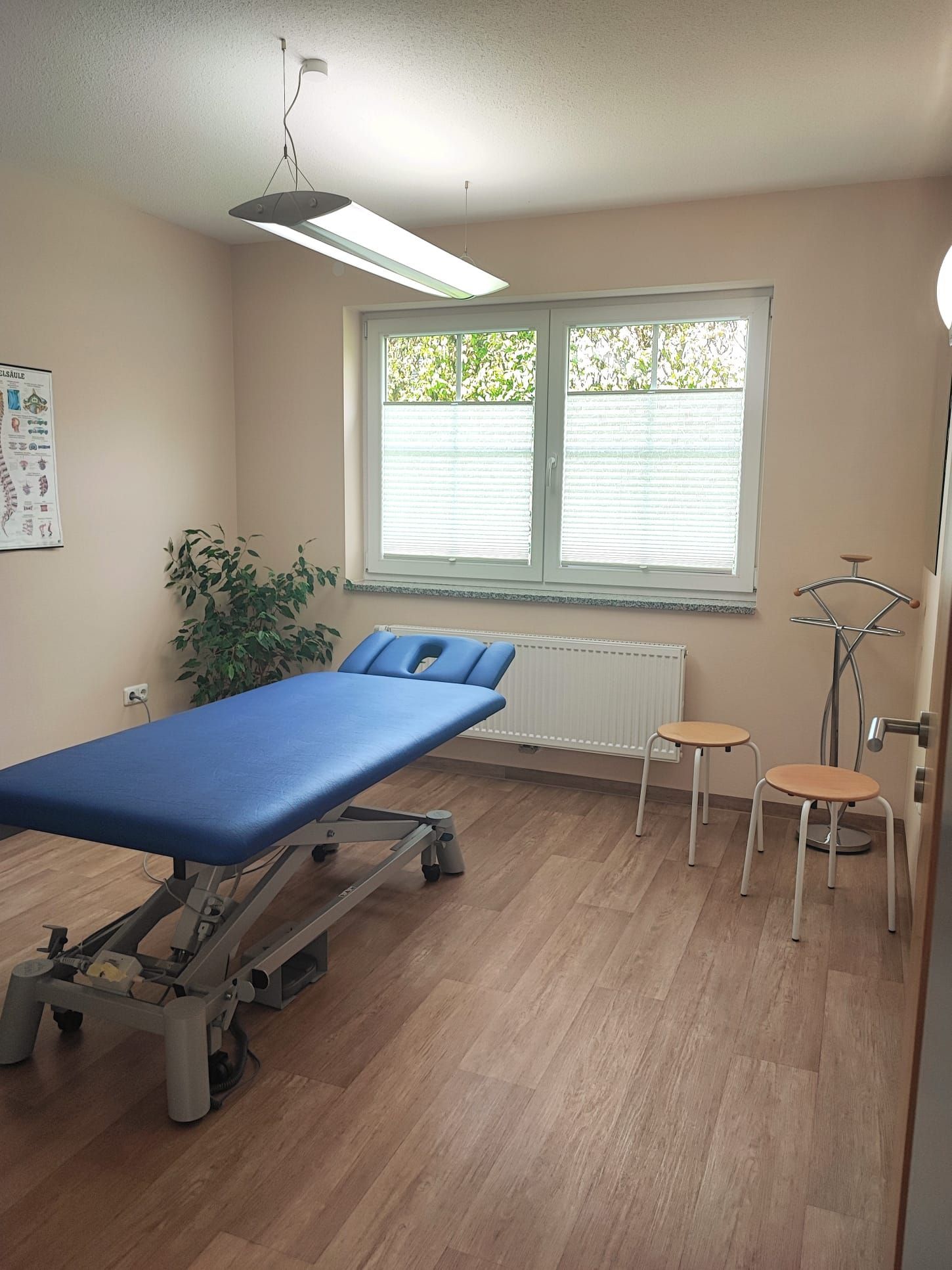 Physiotherapieraum: blauer Behandlungstisch, zwei Hocker, Fenster, Pflanze und Diagnosekarte.