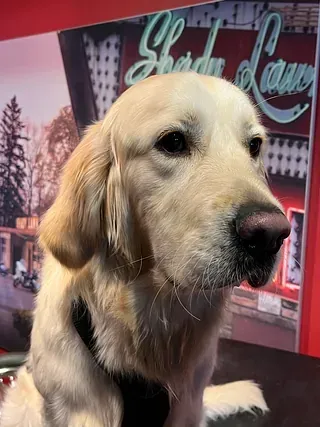 Harley-Davidson Tampere - Mr Moore Motorcycles Oy