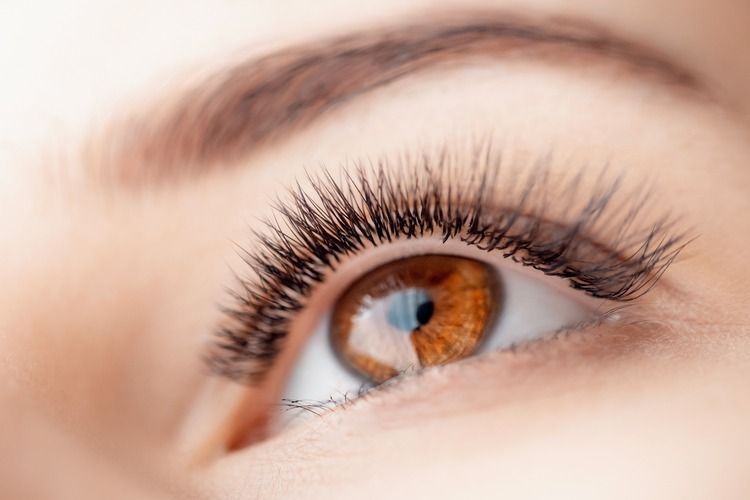 Un primer plano del ojo marrón de una mujer con pestañas largas.