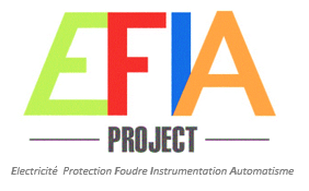 Logo EFIA