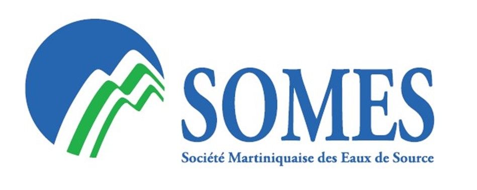 Logo SOMES