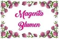 Magenta Blumen
