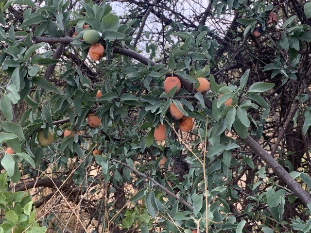 Swiss Basilea Ventures