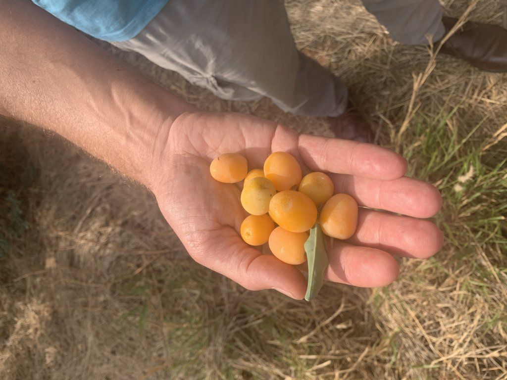 Swiss Basilea Ventures