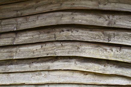 Différentes essences de bois