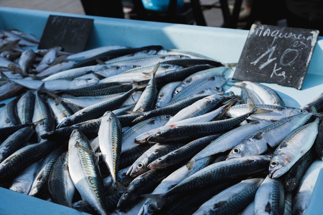 Poissons argentés frais empilés sur un étal de marché, avec une petite pancarte de prix et des récipients bleus en arrière-plan.