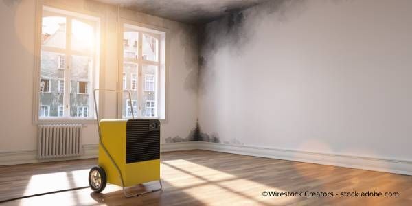 Herbert Scherzer Trocknungsservice Trocknungsgerät in einem Raum