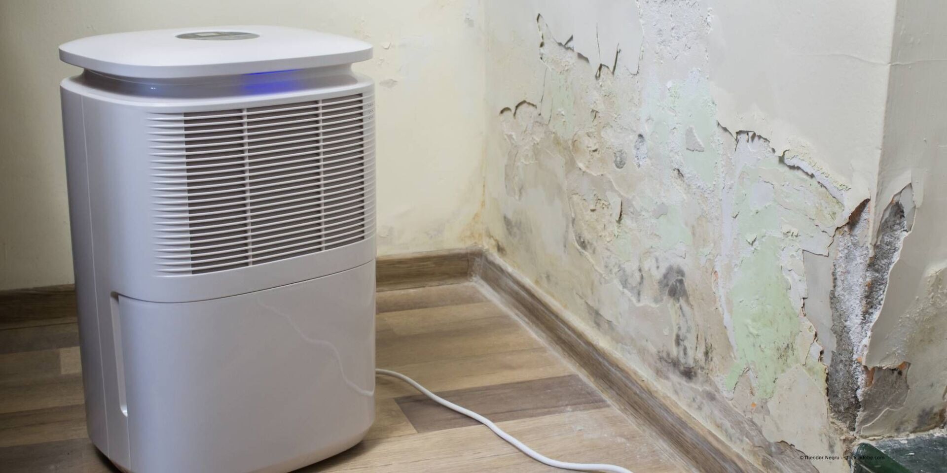 Unser erfahrenes Team arbeitet an der Bautrocknung bei Gunzenhausen