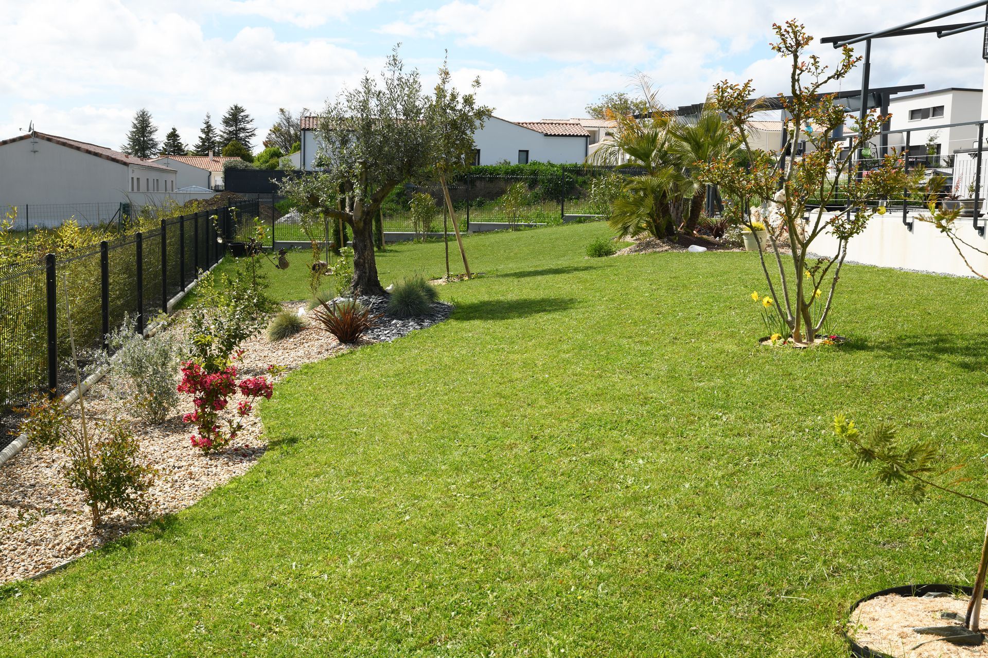 Terrain aménagé avec pelouse, arbres et gravier