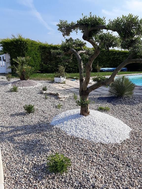 Plantation d'arbre avec aménagement