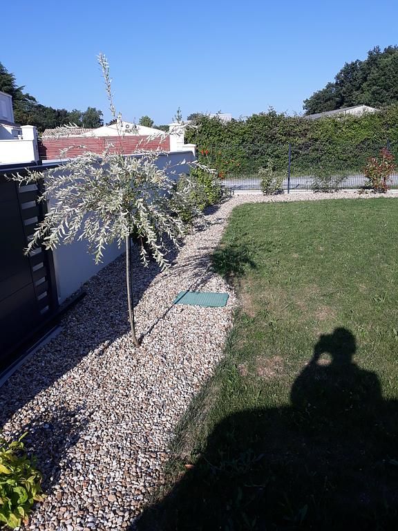 Plantation de quelques arbres