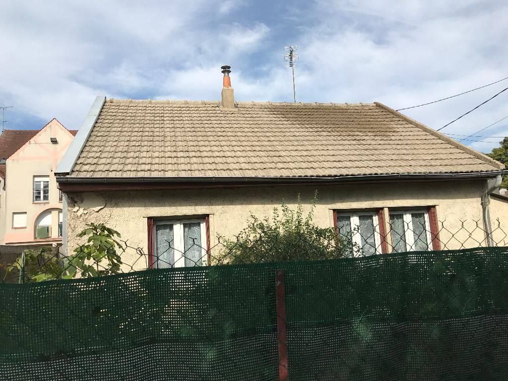 Nettoyage et démoussage toiture