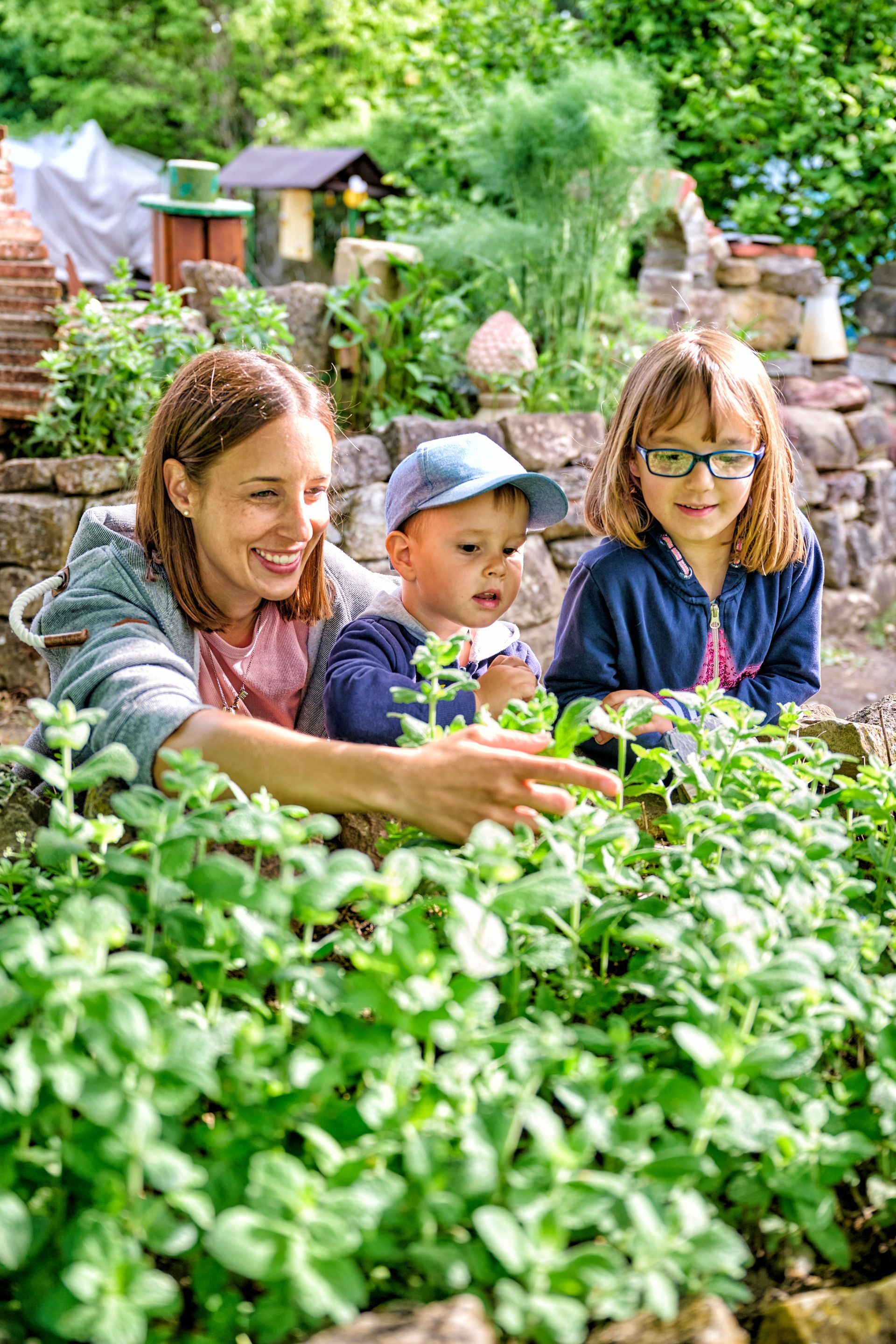 BSI e.V., grüne Erdkugel auf vier Händen