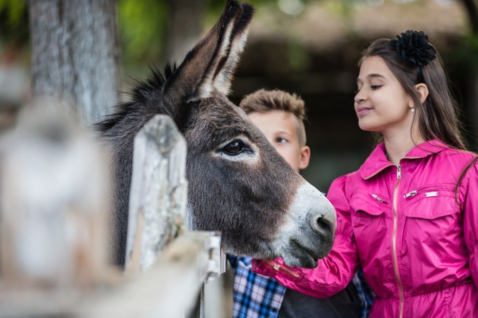 BSI e.V., Elternpaar mit zwei Kindern liest Buch auf einer Wiese