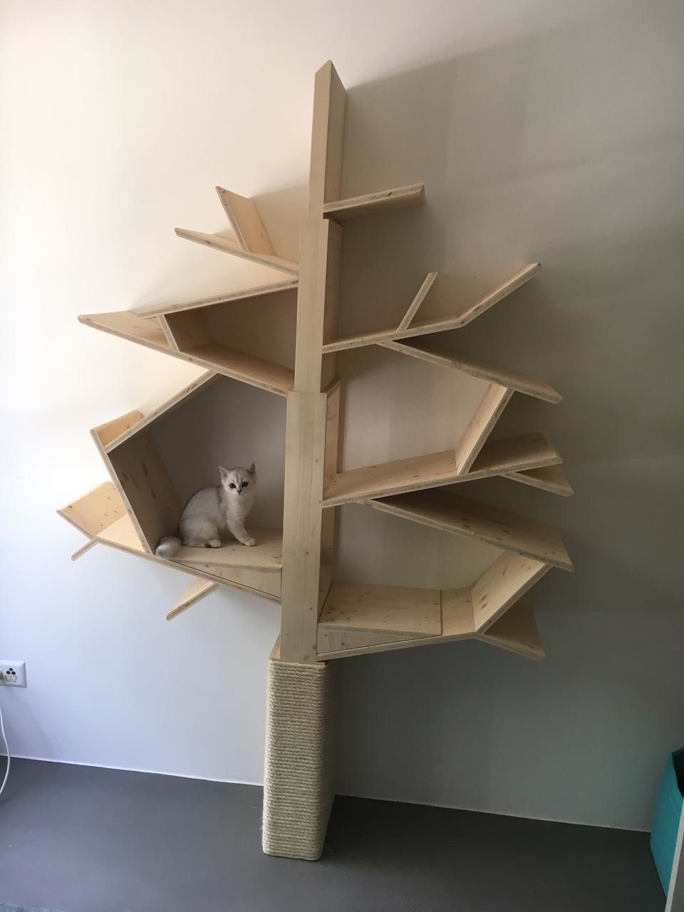 Eine Katze sitzt auf einem modernen, baumförmigen Katzenkratzbaum aus Holz mit mehreren Ablagen vor einer grauen Wand.