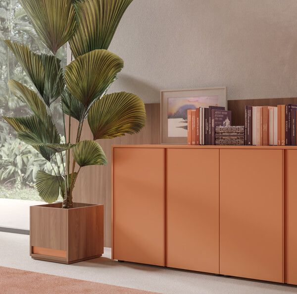 Armoire de rangement orange