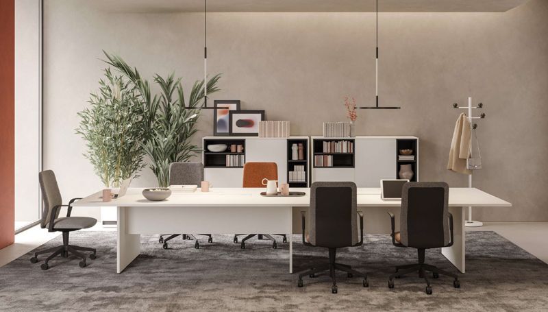 Sièges ergonomiques dans open space à moquette bleue