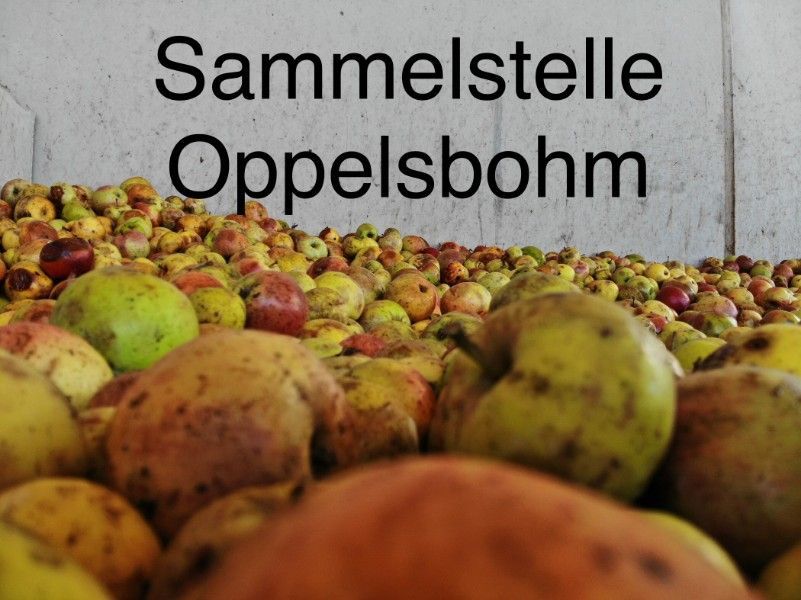 Geerntete Äpfel