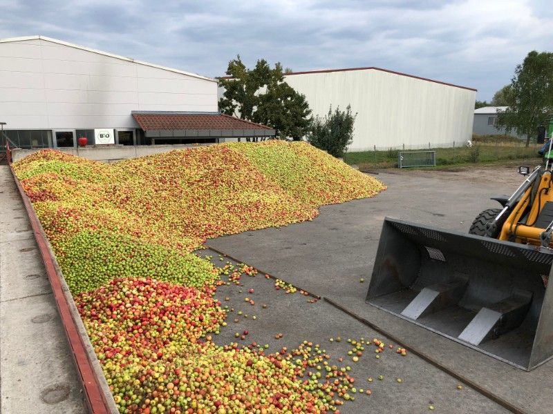 Äpfel an Sammelstelle