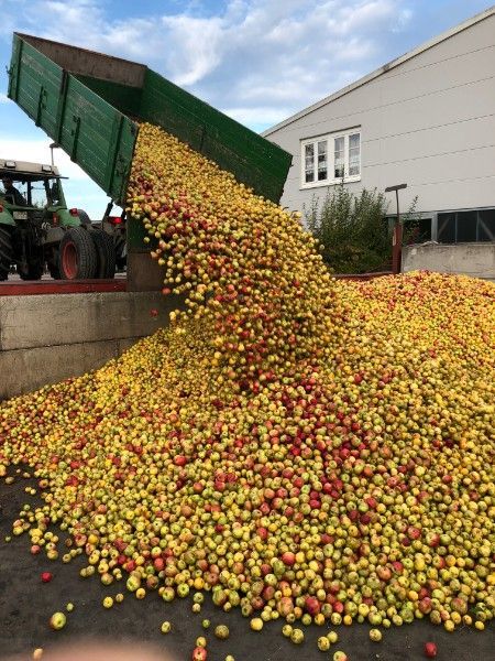 Abladen von Äpfeln aus LKW
