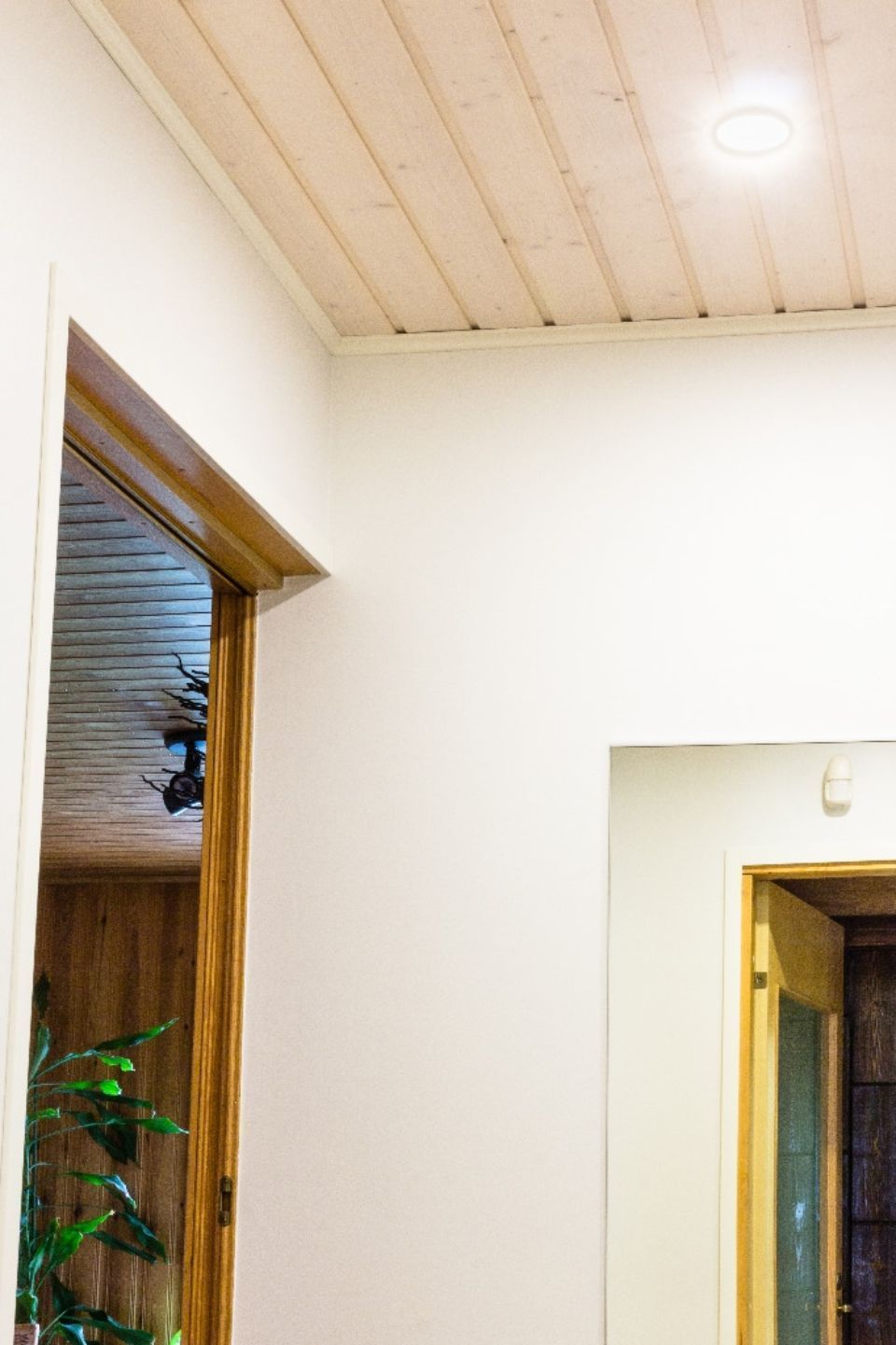 Huoneistoremontti, TMG Remontti