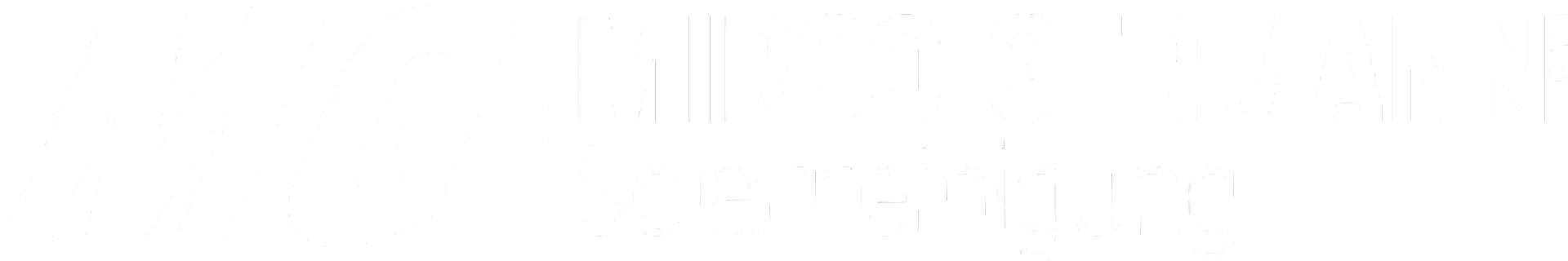 Logo for Mirco Germann Solarreinigung: 