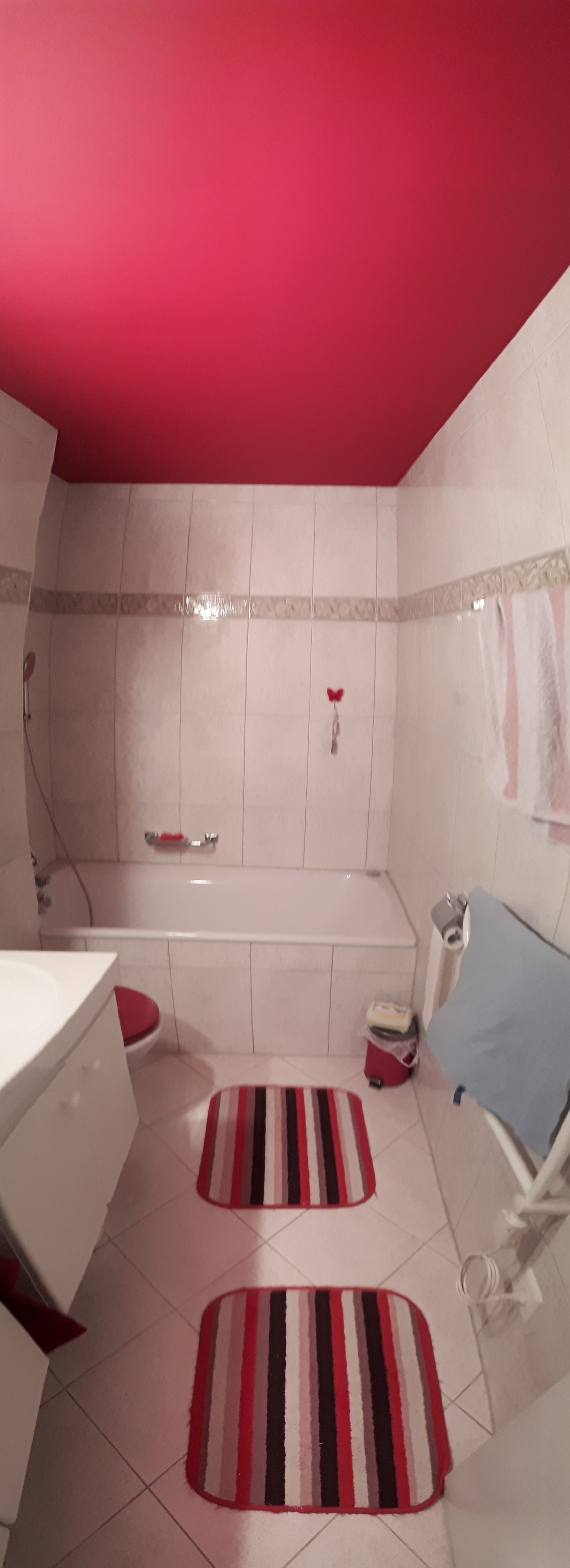 Badezimmerdecke Himbeer - Malerarbeiten Marco Dürst