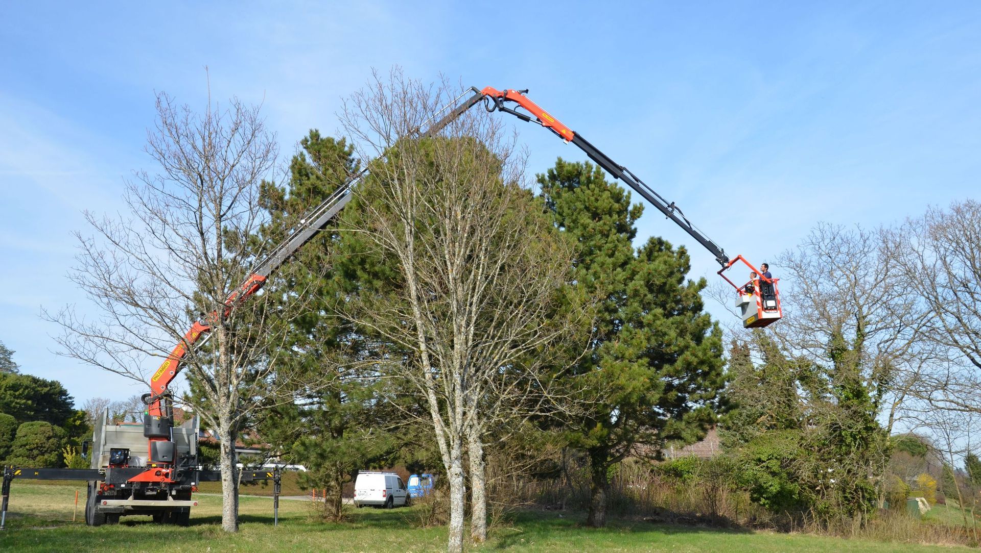 Denis Sippel SA - grue