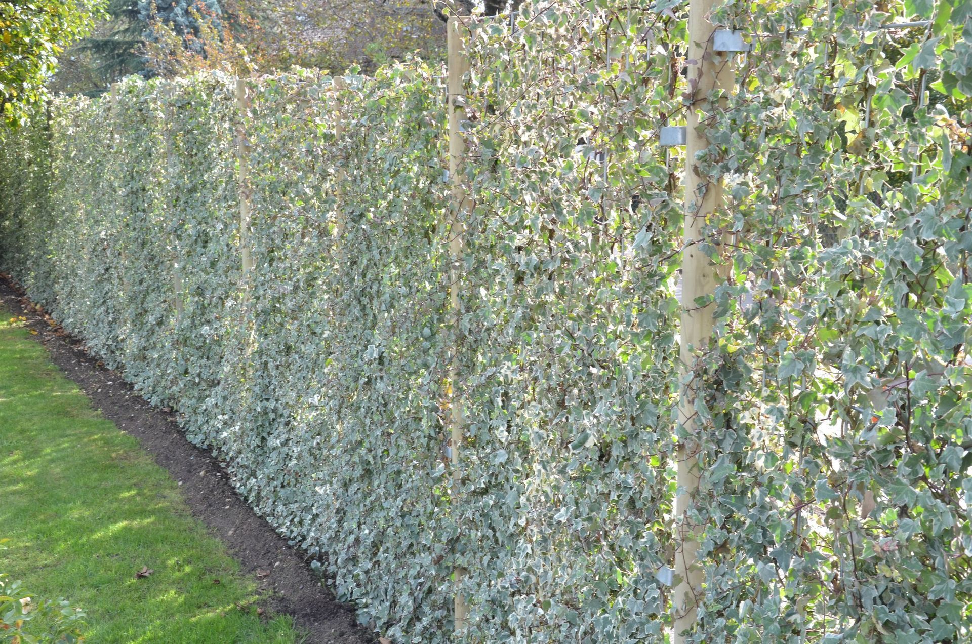 Denis Sippel SA - paysagiste