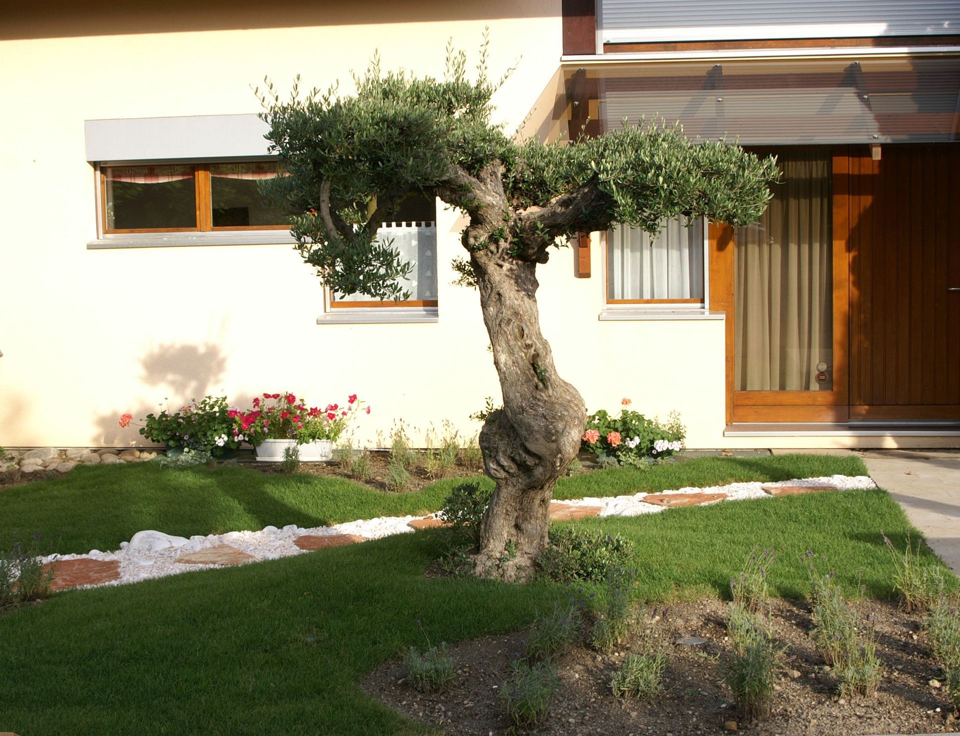 Denis Sippel SA - plantation