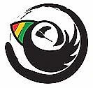 Un pájaro negro con una pluma de arco iris en su pico está en un círculo.