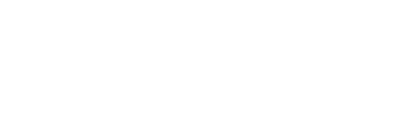 lingua FIT