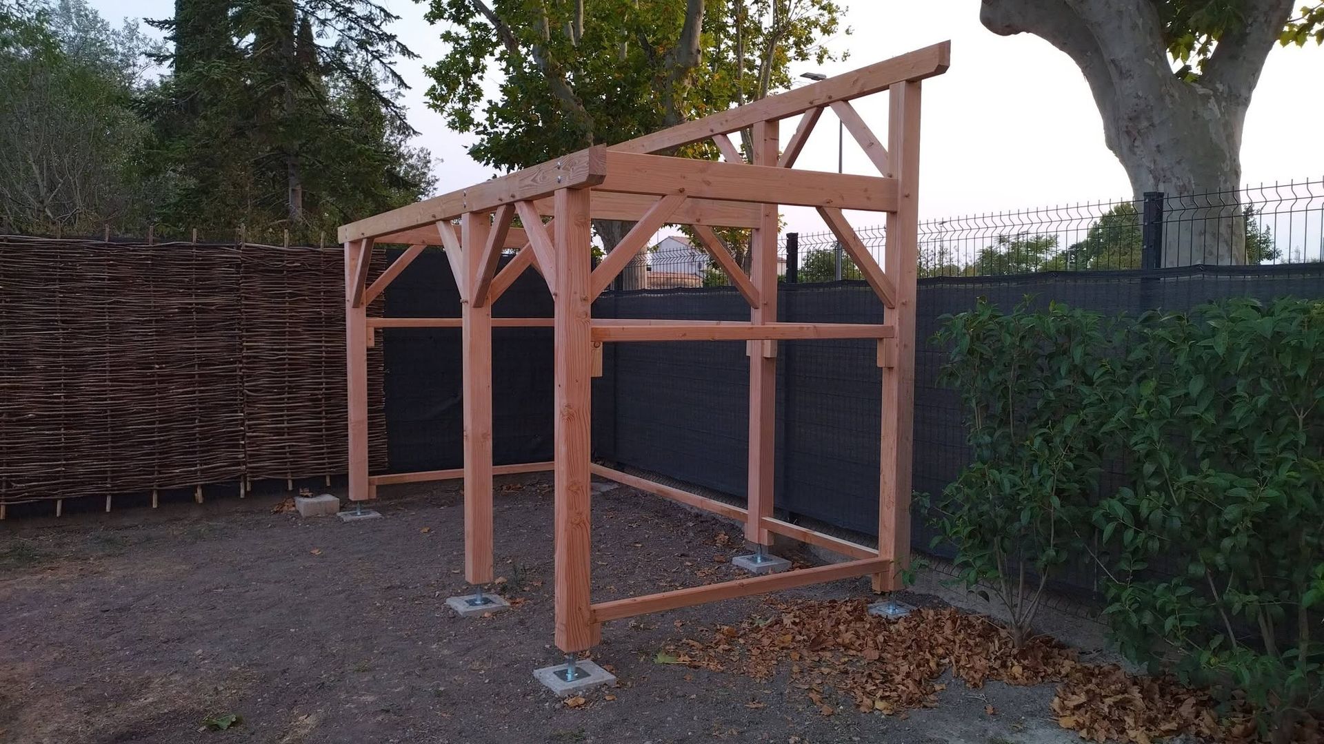 Structure de pergola en bois en cours de construction dans un jardin, avec des poteaux, des poutres et un abri à proximité.