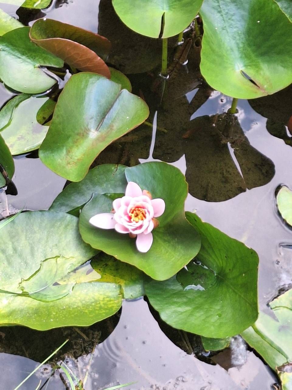 Salle de soins avec deux fauteuils en cuir marron, un tabouret et une table de massage blanche sur un tapis posé sur un parquet.