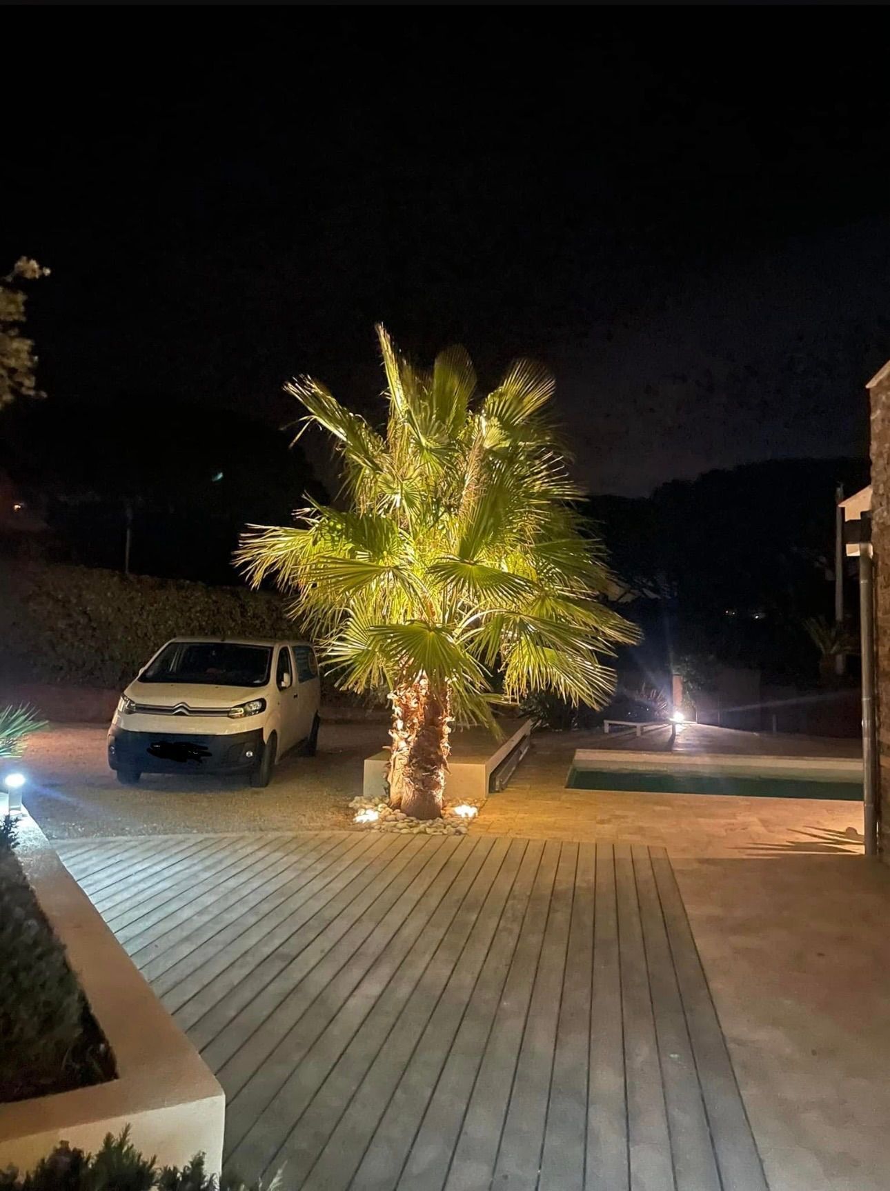 Allée nocturne avec un palmier illuminé, une camionnette garée et des éclairages de chemin